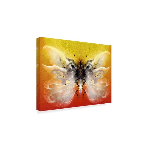 RUNA 'Fly 1' Canvas Art,14x19